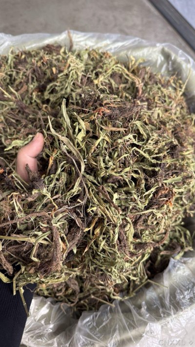 spice_5195893_a958c3aa_2.jpg