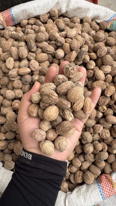 spice_5298552_6fa232cf_1.jpg