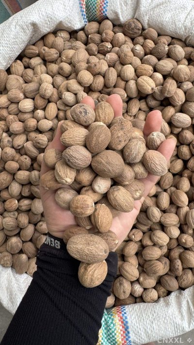spice_5298553_722060c4_2.jpg