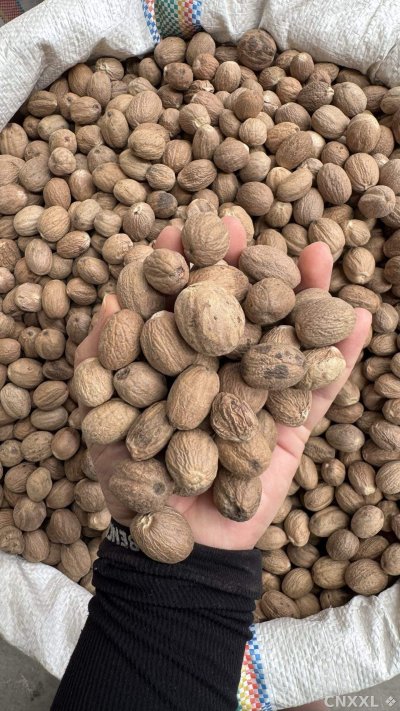 spice_5298553_95b7210f_1.jpg