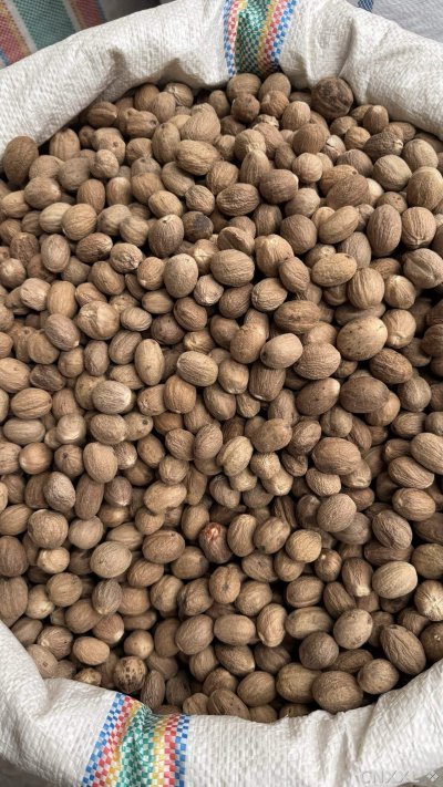 spice_5298553_ff3aa697_3.jpg