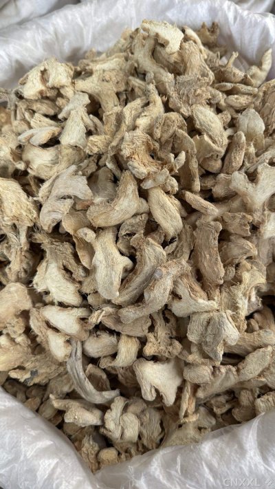 spice_5303691_50f858ee_3.jpg