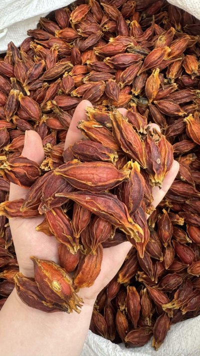 spice_5403638_ad45e6d2_2.jpg