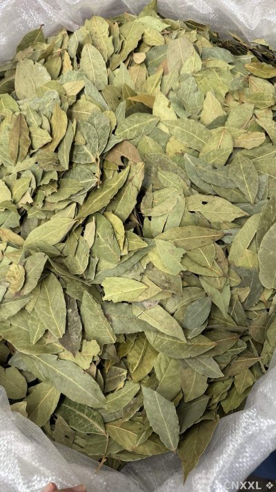 spice_5403659_8daccfe3_3.jpg