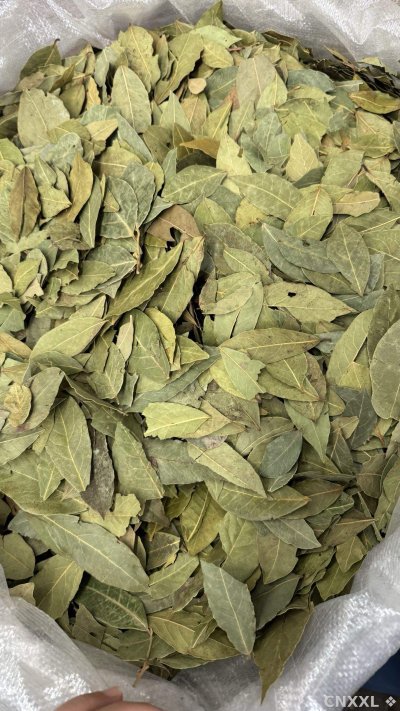 spice_5403659_ece16c98_2.jpg