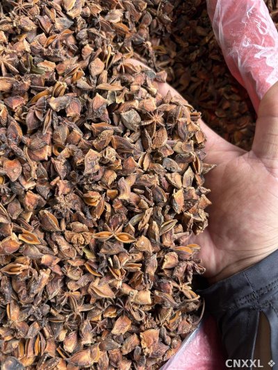 spice_5465075_3cc2d29f_2.jpg