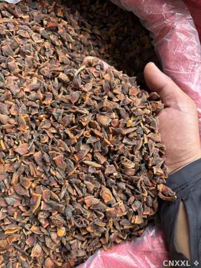 spice_5475376_3a3910be_2.jpg