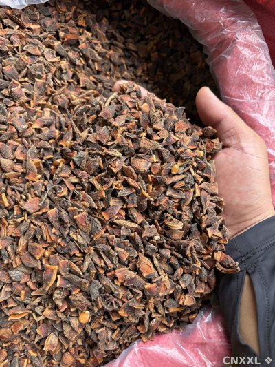 spice_5475376_ba9113d1_3.jpg