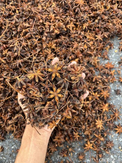 spice_5495982_ce0f0fd5_2.jpg
