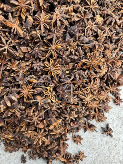 spice_5501147_3c9b3357_3.jpg