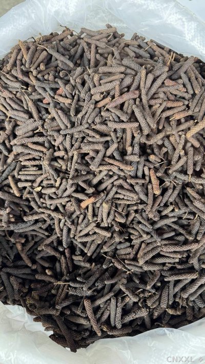 spice_5609306_77aa8343_2.jpg