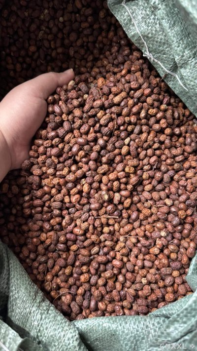 spice_5650534_56dd27fe_3.jpg