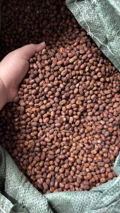 spice_5650534_7aecab50_2.jpg
