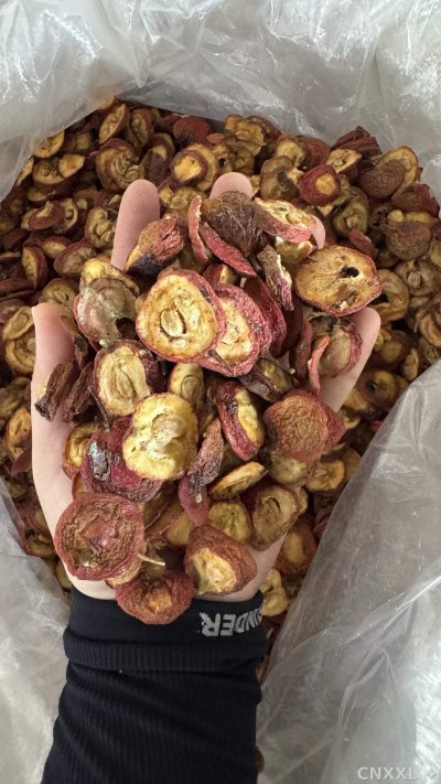 spice_5712379_32fdf4d6_2.jpg