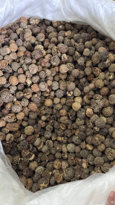 spice_5717540_320b2ca2_3.jpg