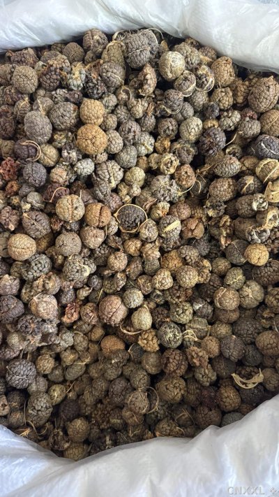 spice_5717540_39ad4289_3.jpg