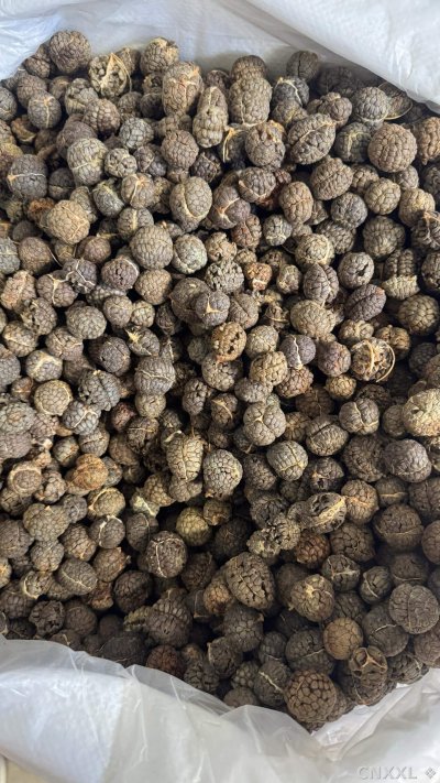 spice_5717541_f0cd7cb2_3.jpg