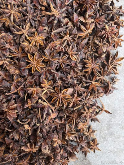 spice_5722698_acd9f568_3.jpg