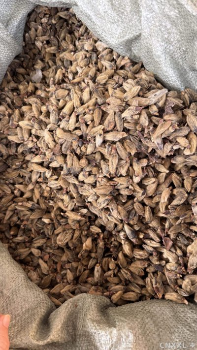 spice_5784646_0fce6260_3.jpg