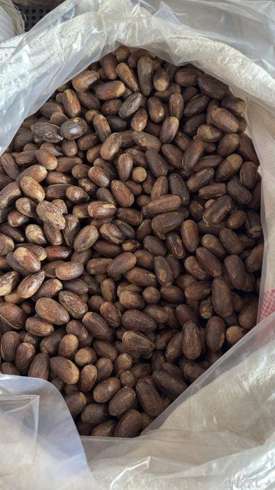 spice_5789809_d086432e_3.jpg