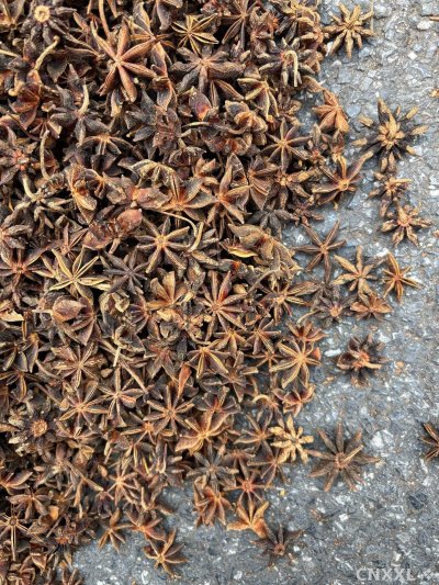 spice_5815650_b24722ab_3.jpg