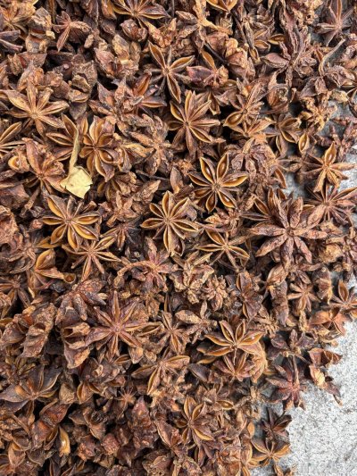 spice_5913894_2870f0eb_3.jpg
