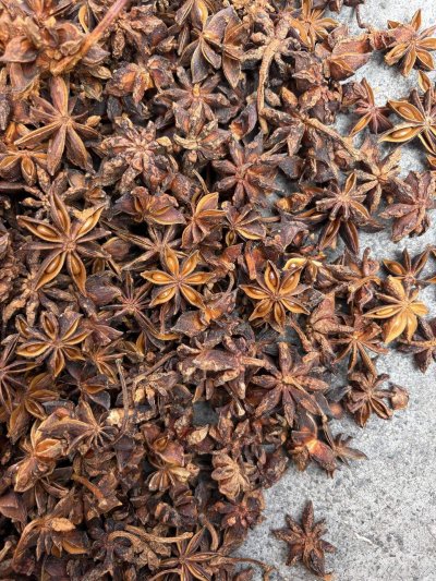 spice_5913895_c89b29ad_3.jpg