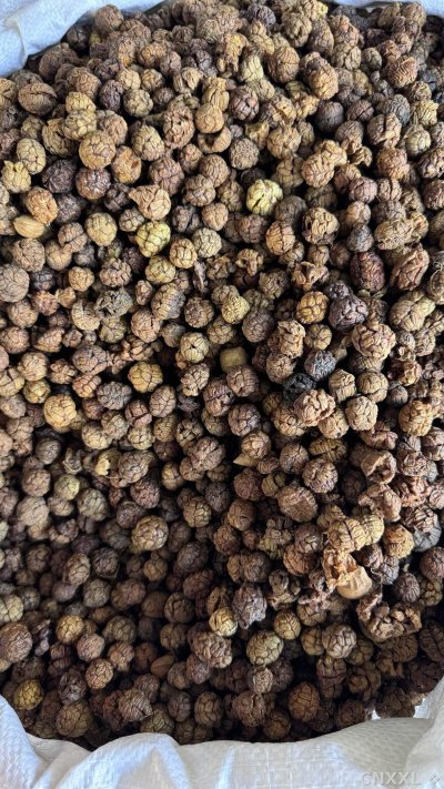 spice_5919080_f9134750_3.jpg