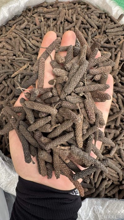 spice_5919092_64dd27cc_2.jpg