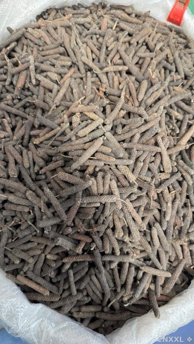spice_5919092_ce449fcf_3.jpg