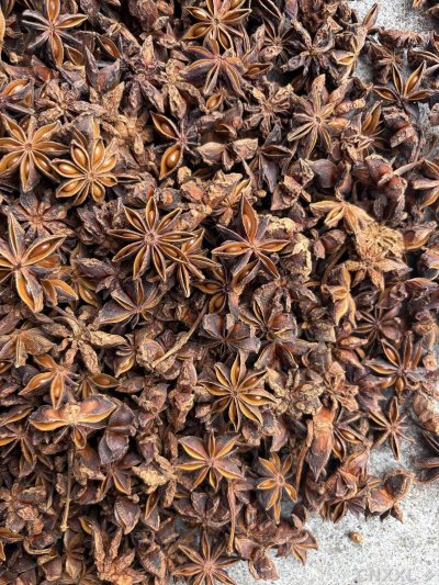 spice_6167745_8767c5ea_3.jpg