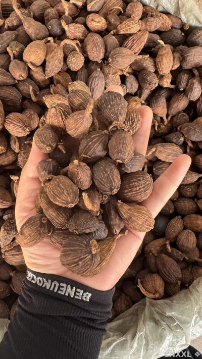 spice_6235226_5d811145_1.jpg