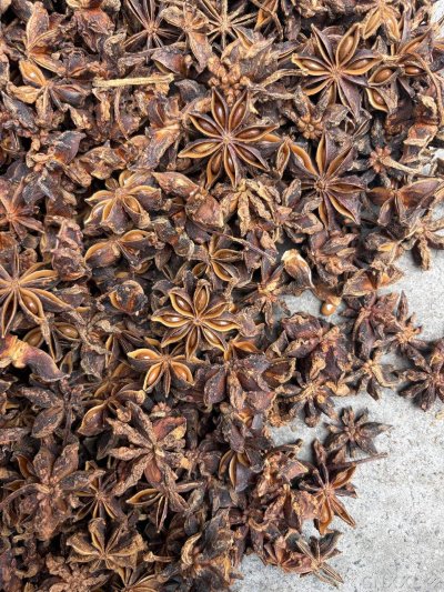 spice_6240386_f4b7b18c_3.jpg