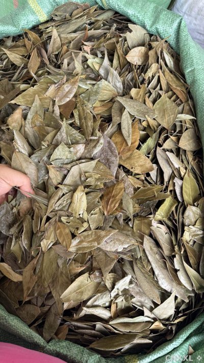 spice_6271553_ad1eab1f_3.jpg