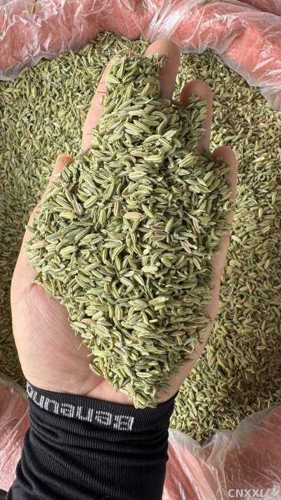 spice_6333904_ffadf9ae_1.jpg