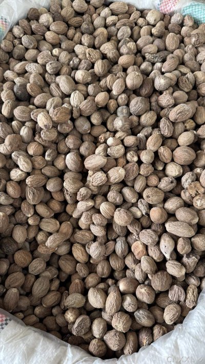 spice_6437976_8c291be5_3.jpg