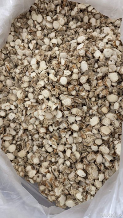 spice_6437979_1cc49cbe_3.jpg