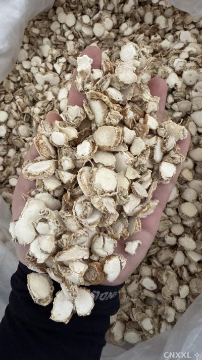 spice_6437979_7755ae49_1.jpg
