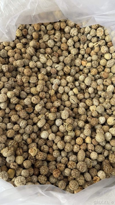 spice_6443153_e1d160e0_3.jpg