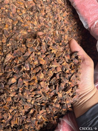 spice_6453561_1309c42c_2.jpg