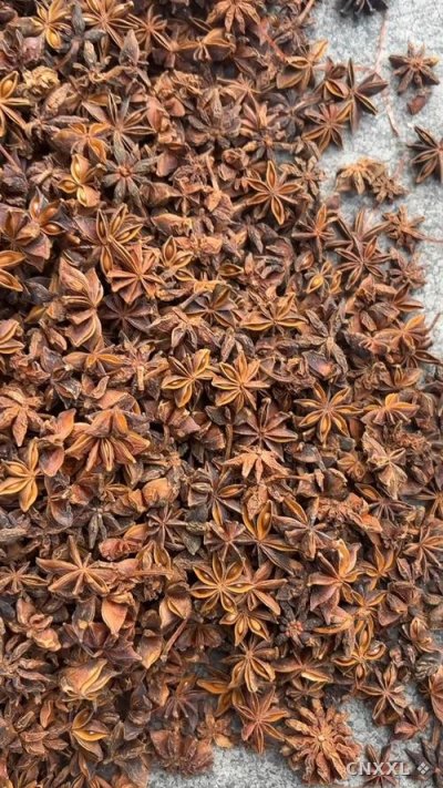 spice_6531589_aec1d7d1_1.jpg