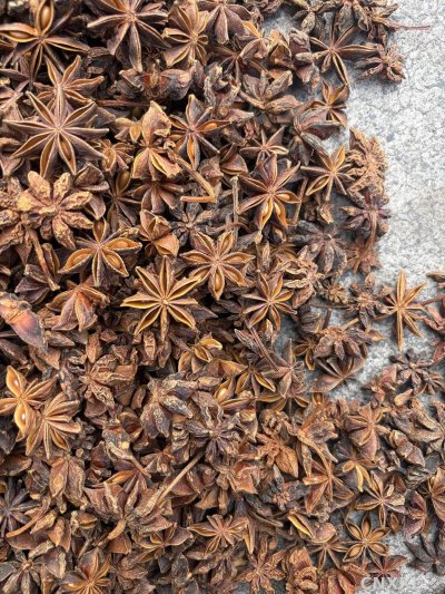 spice_6531590_0a54ad64_3.jpg
