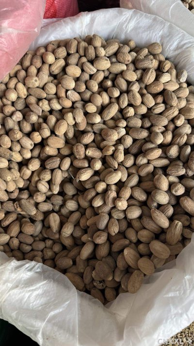 spice_6547207_368455e2_3.jpg