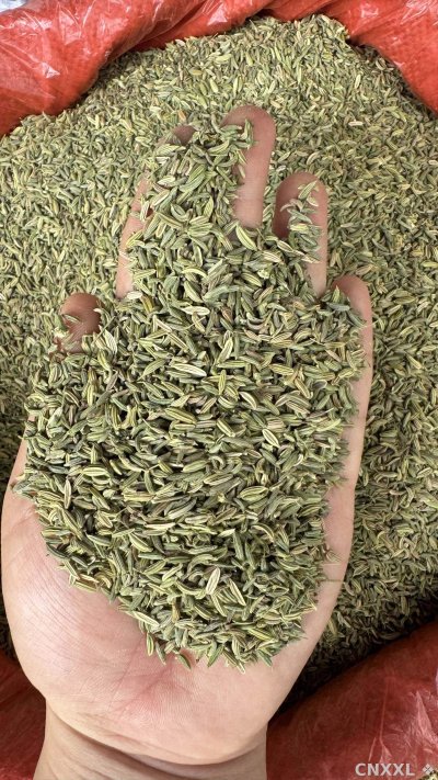 spice_6562823_7ce5f00e_1.jpg