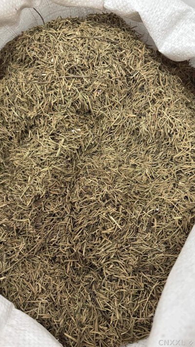 spice_6609675_109aaf49_3.jpg