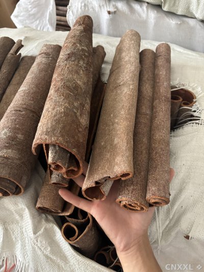 spice_6646144_af7e2d1e_1.jpg