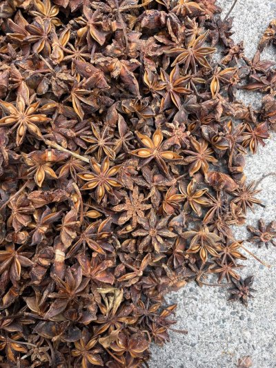 spice_6651325_9f0f583c_3.jpg