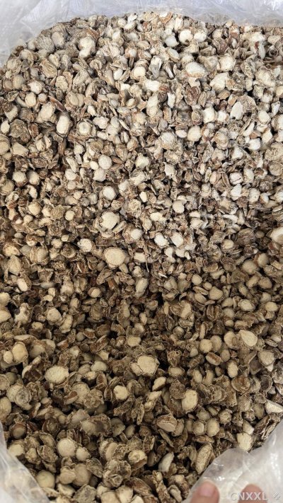 spice_6656520_ab81881e_3.jpg