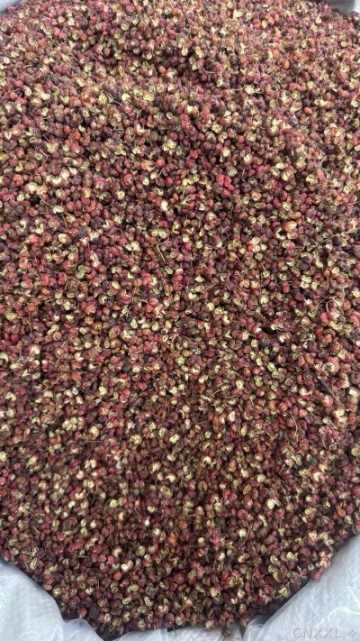 spice_6698160_ff5fe9df_3.jpg
