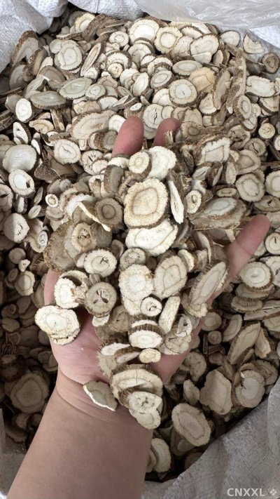 spice_6703357_d622983d_2.jpg